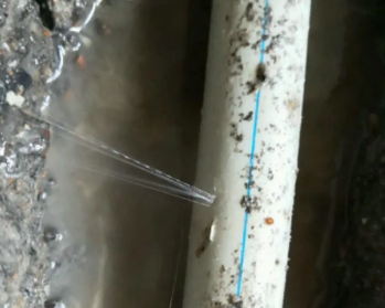 九台卫生间测漏水多少钱